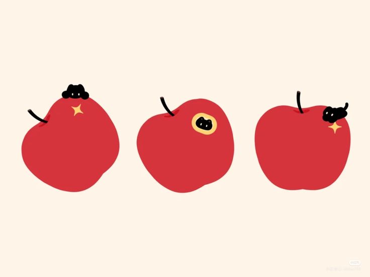 An apple image